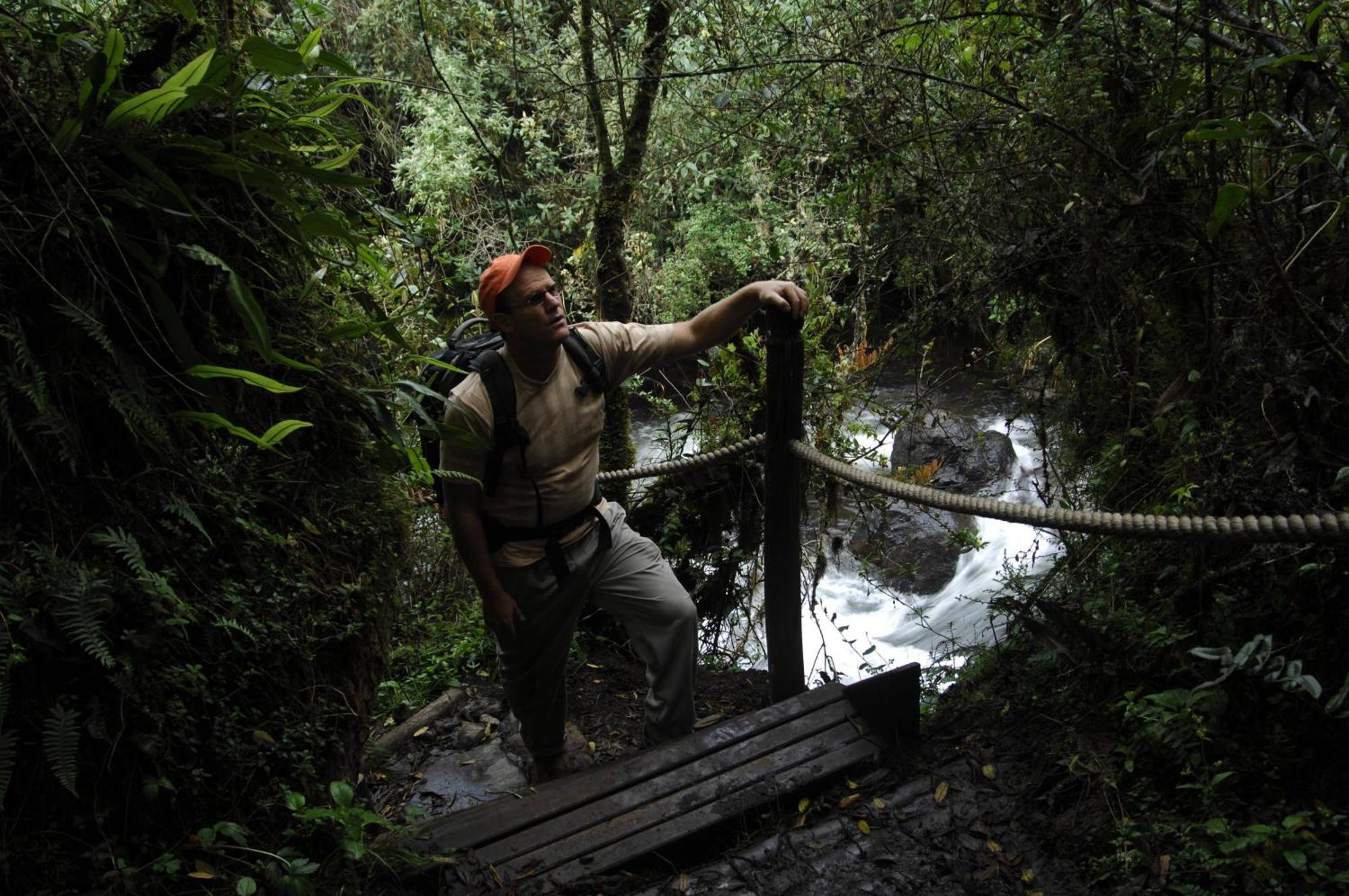 Termas De ปาปาญัคตา ภายนอก รูปภาพ A bridge in the rainforest